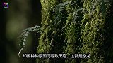 人类唾液和巨蜥唾液有何区别比试之后，巨蜥唾液能致生肉腐烂