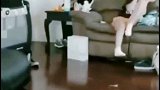 我这豹脾气，不是你想撩就撩的