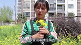 小伙职责路边二货随地采花，二货不听最后引来蜜蜂，太逗了