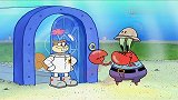 海绵宝宝：蟹老板来到发明家松鼠珊迪的家门口，他想干什么呢！