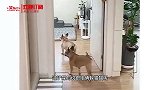 一鞋穿三代 人走鞋还在