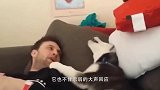 主人让哈士奇帮忙带娃，回到家一看，气得想要买狗