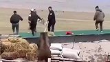 你们都跑啥呀，老弟没有恶意