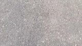 没出息，真给我丢人！