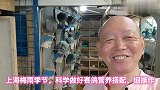 上海梅雨季节，科学做好赛鸽营养搭配，精细操作