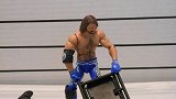 【JWS人偶对决】极限法则赛:AJSTYLES VS BROCK LESNAR