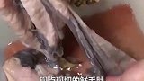 开在巷子里的川菜馆，就跟在丽江一样超有感觉