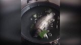 第一次做鱼，已放好葱姜蒜，下一步该怎么做？