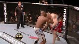 UFC-14年-UFC ON FOX13自由格斗：欧沃瑞vs莱斯纳-专题