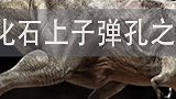 恐龙化石中的子弹孔之谜