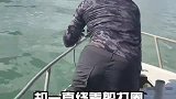 辫子哥钓获的一条鮸鱼，非常的幸运