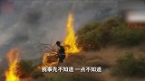 美国一名慢跑爱好者试图用双脚踩灭山火 主持人惊呼如看电影