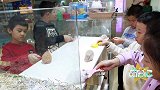 仓鼠才是嗑瓜子的高手，它是当之无愧的鼠界干饭王