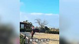 9岁中国女孩在埃及为朋友霸气维权，英文流利表达强劲，获百万网友点赞