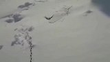 暴雪天气把狗子忘在门外了，一夜暴雪过后