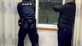 两百斤野猪，夜闯市区居民楼