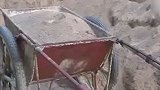 想多要2吨水泥遭拒 贫困户骂扶贫干部是狗被拘留
