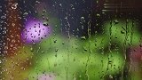 两只小可爱又在听雨了！