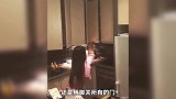 13个让你不相信的瞬间，用挖掘机开机，吸盘鱼充当船舱挂件