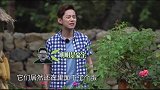 巴图做的烂鸡窝里居然有鸡蛋，何炅：这太感人了
