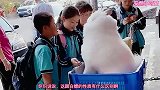 爆笑：作为二胎的觉悟，从小就学会察言观色的生存法则！