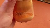 记录鸽子铲屎官的一天