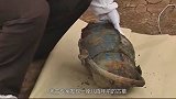 考古专家出土800年前古墓，七旬老汉大喊别挖我家祖坟！