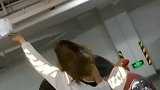 来了，来咯，美女真的来喽