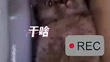 社恐猫咪躲猫猫，这次藏的位置可是真难找