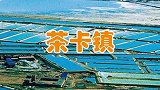 青海湖太美了放眼望去都是壁纸青海湖不打卡对不起自己