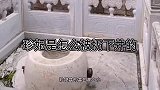 珍妃是怎么被扔下井的