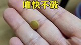 失传多年的喂药秘方，不用谢我