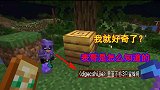 我的世界联机273：迪哥说蜜蜂不够，奇怪了，他是怎么知道的