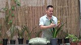 给大家分享一种“好物”，喜欢养君子兰的花友看过来