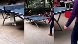 知道中国乒乓球为什么厉害吗？这就是证明