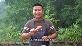 为什么卤菜店的鸡翅鸡爪那么有食欲？原来是这样做的！烟熏