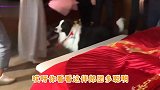 哪个小伙子出的主意，真聪明