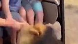网友恶搞：10秒总结西班牙vs佛得角