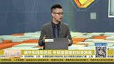 碳中和强势依旧，关注年报披露期的投资策略