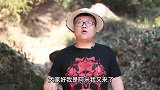 农家一碗香，隔着屏幕闻着香气四溢