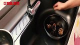 红姐私家菜：教你如何挑选活海螺，告诉你海螺的正确吃法