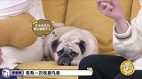 《毛雪汪》李雪琴拜访甲方，竟吃空别人冰箱