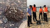 地产商为求财运 云南澜沧江边放生40公斤蛇