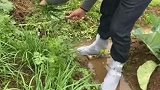 下雨天再也不怕弄湿鞋子了