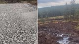 英国北爱尔兰一湿地发生滑坡 整片树林玩“漂移”向前移动
