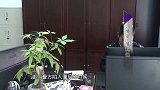 男子在家中被捕，归案后交代诈骗过程，甜言蜜语哄骗13名女性！