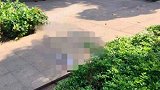 痛心！深圳3岁男童从30楼家中坠亡：事发时大人以为孩子不在家