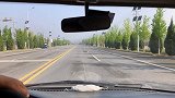 赶海带狗狗来海边玩，铲屎官捡了一桶蚬子、海蛎子，满载而归！