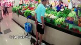 杨迪牵着二哈去买菜，二哈一进菜市场就撒尿，杨迪获网友点赞