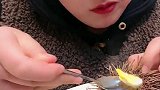 海鲜美食海胆炖蛋